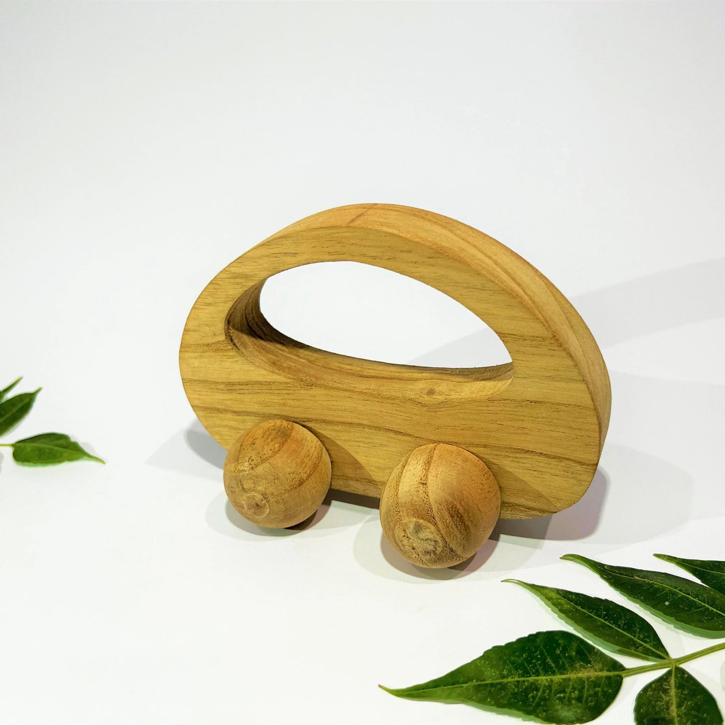 Neem Wood Car